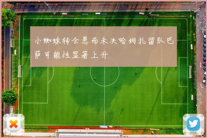 小蜘蛛转会悬而未决哈姆扎留队巴萨可能性显著上升